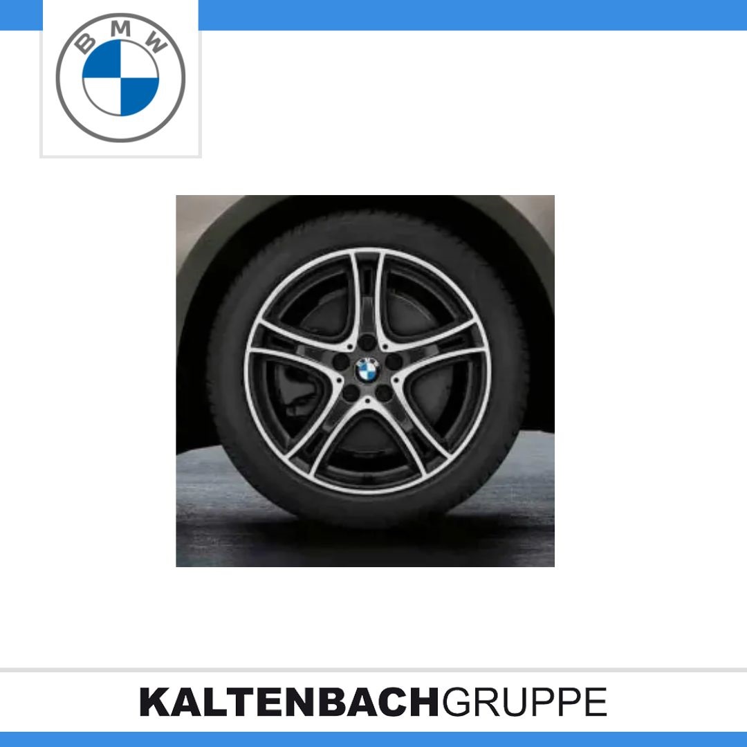 Doppelspeiche 361.jpg